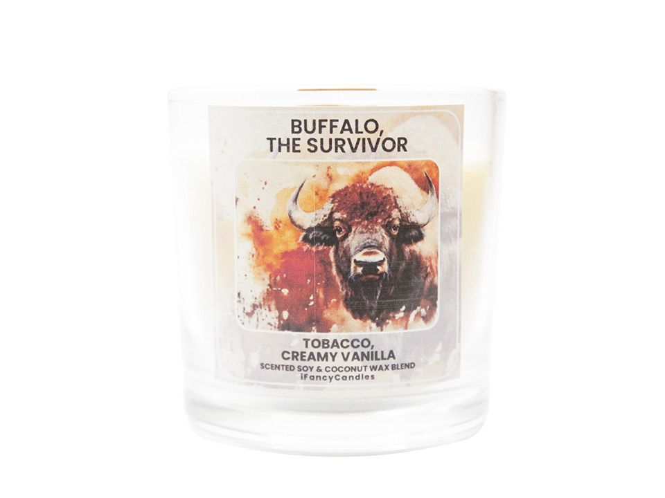 Buffalo, The Survivor