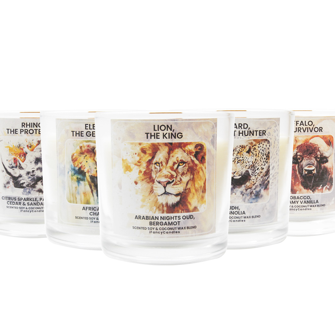 Big Five Collector’s Set